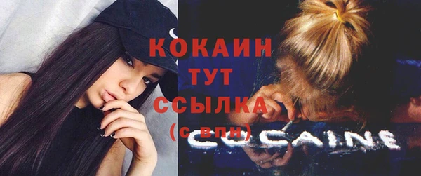 гидра Сосновоборск