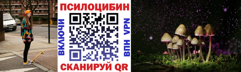 Галлюциногенные грибы GOLDEN TEACHER  хочу наркоту  Зубцов 